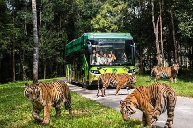 Vietnam Tour – Highlights of Phu Quoc– 3 Days 2 Nights