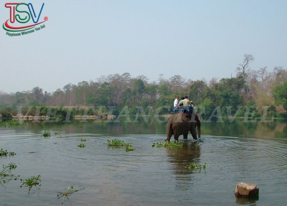 PHÒNG KHÁCH SẠN MĂNG ĐEN